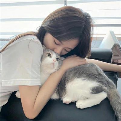 继承杯